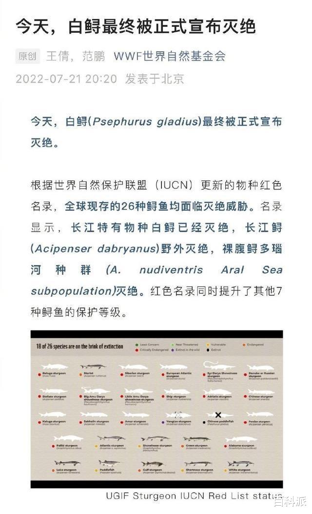 中华匙吻鲟已经灭绝!有生命周期的人类,会不会在将来也消失?