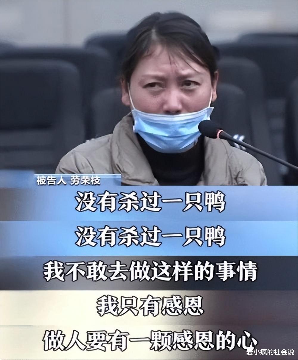 劳容枝二审的迷之操作:立人设、怼法官,她想达到的目的不一般!