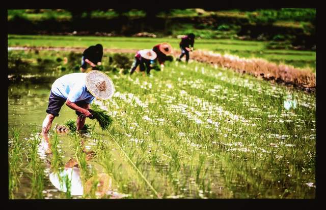 三星|明基E540智能办公投影仪:高效开展会议,突破职场内卷