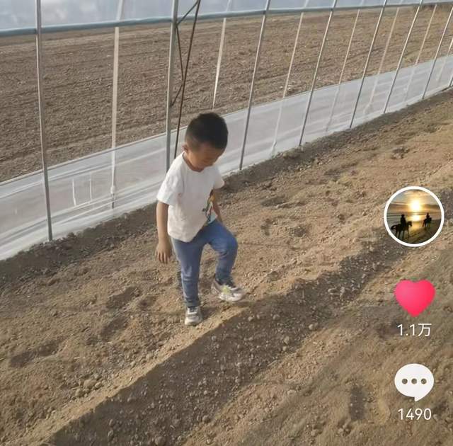 孔雪儿|田静父亲更新大棚干活画面，称一群人一条心，奇奇被夸自理能力强