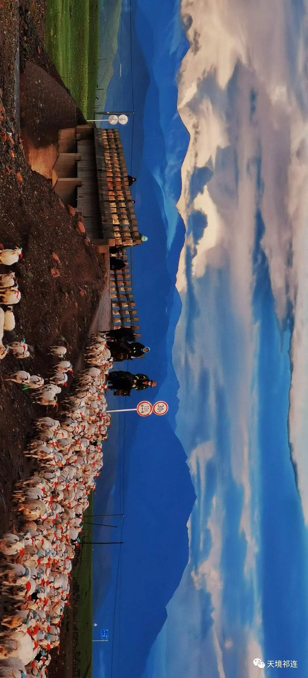 温泉|8月的祁连真的太太太浪漫了，相册里的美景忍不住发给你看！