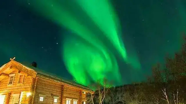 驯鹿|疫情过后的旅游胜地推荐