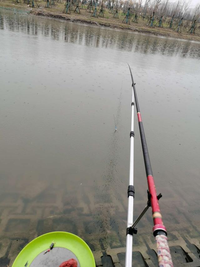 |万物萌动春已至，垂钓正当时！