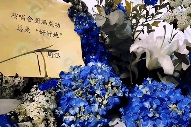 周迅|看了朴树和李亚鹏的结婚对象，就能理解他们为什么不娶周迅了