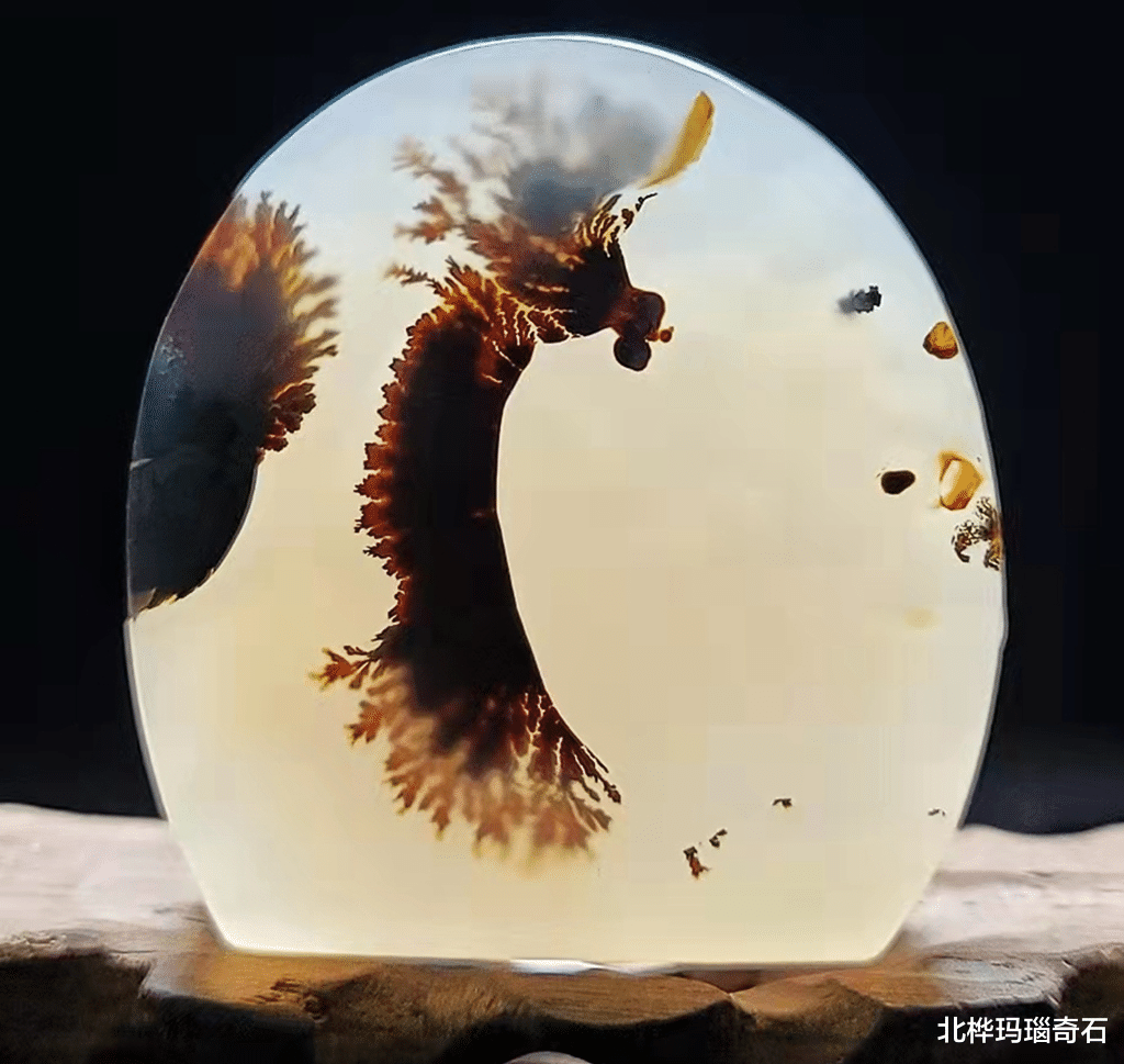 美丽|好看的石头有谁会不喜欢