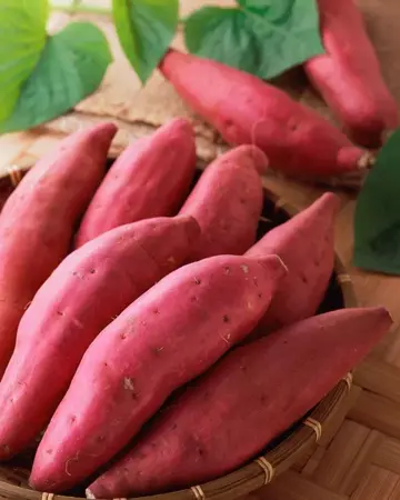 米酒|肠息肉常吃这五种食物,抑制息肉,给肠子“搓搓澡”