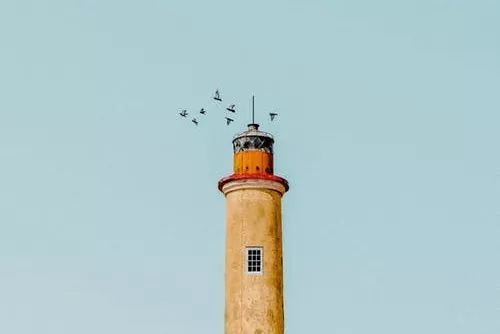 许多|本科or专科?究竟差什么?值得深思