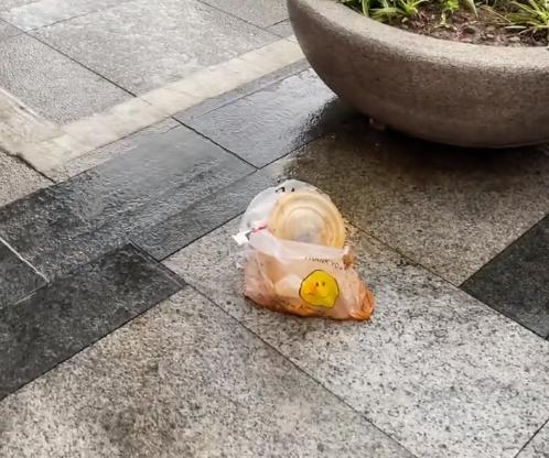 垃圾不能丢垃圾桶?广东一女子丢垃圾被拦住,报警后才丢进桶里