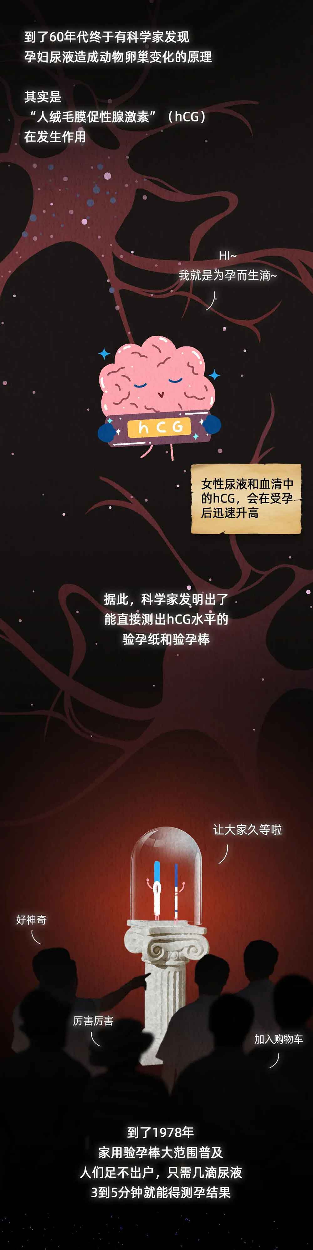 为了验孕,人类都用过哪些奇葩方法?为何灭绝了青蛙?(漫画)