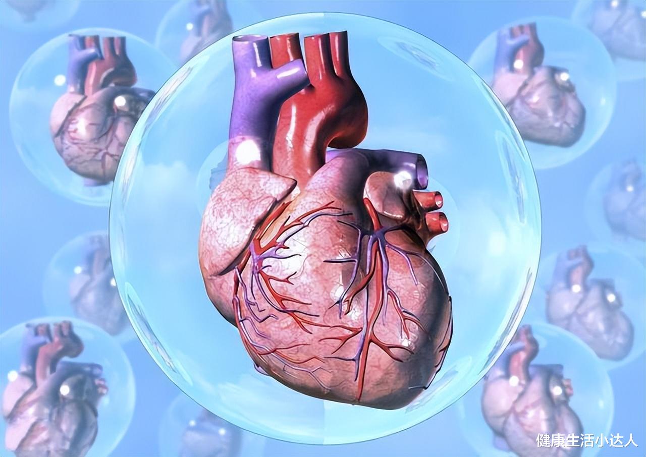 黄精|从身体的4个表现,看透心力衰竭,严守四个习惯,远离心衰