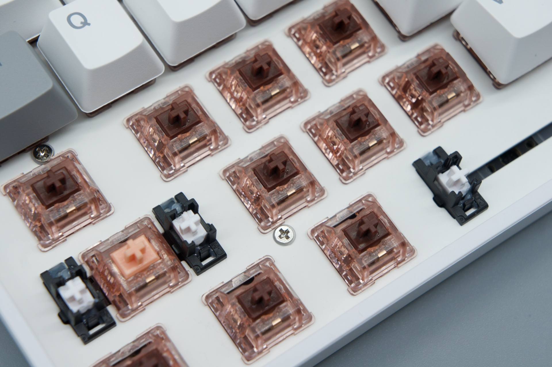 机器学习|小呆虫Lite Gasket：做一个安静又骚气的键盘党