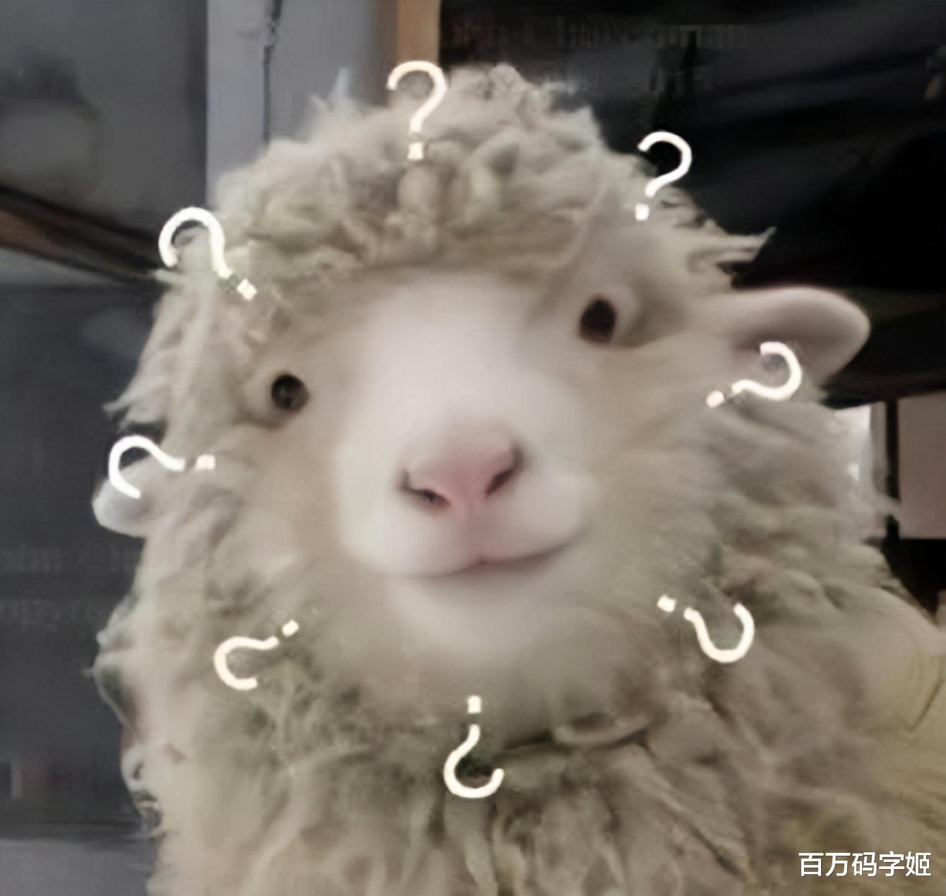 |“我,30岁,没存款,不打工了”:长期不上班是怎样的体验?