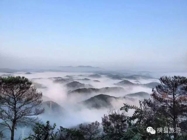 泰国|横州，不只有茉莉花！