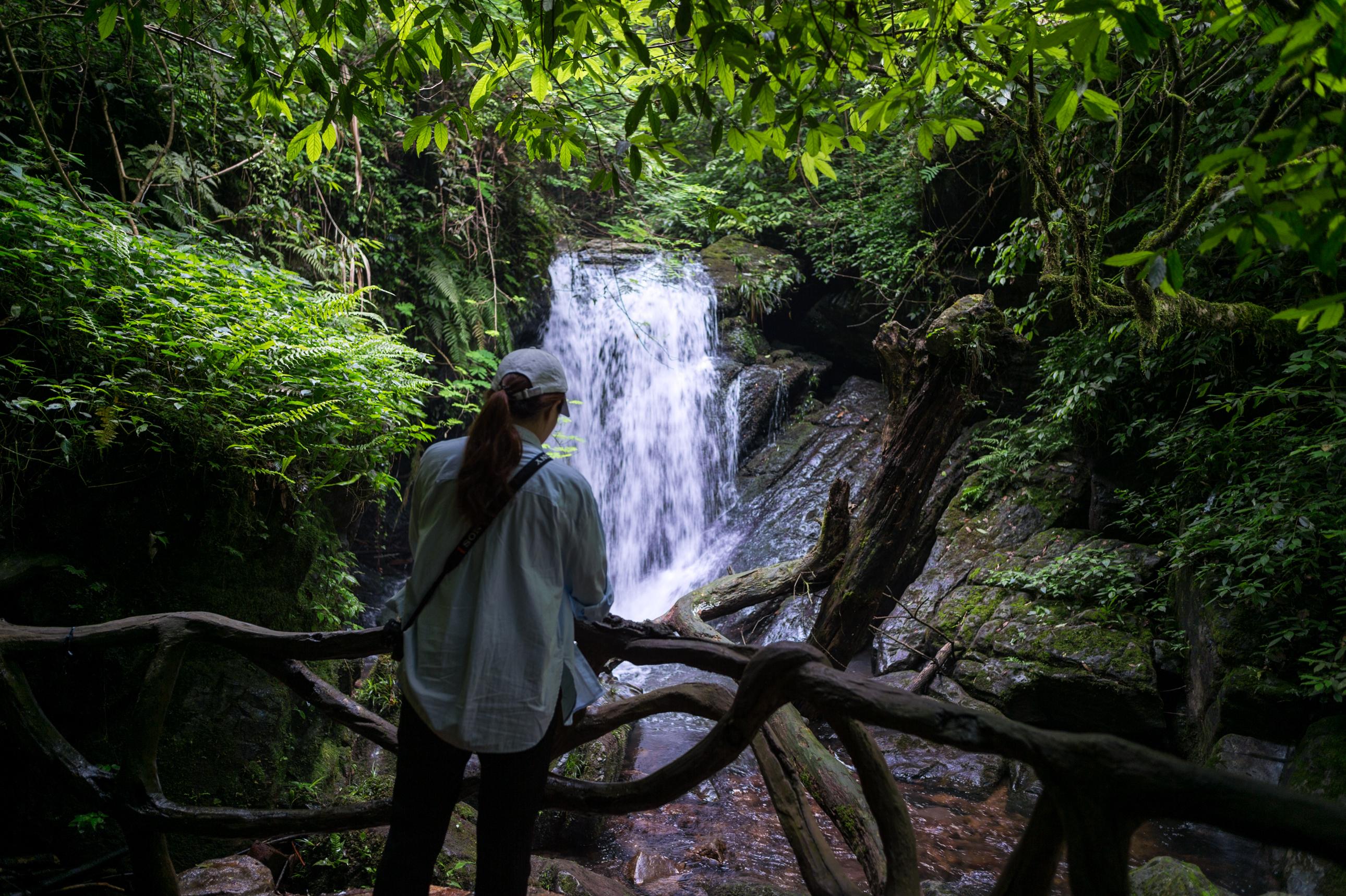 江西|我国距离县城最近的国家森林公园，就在江西，你是否去过？