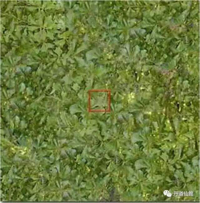 这些照片告诉你什么叫“色即是空”