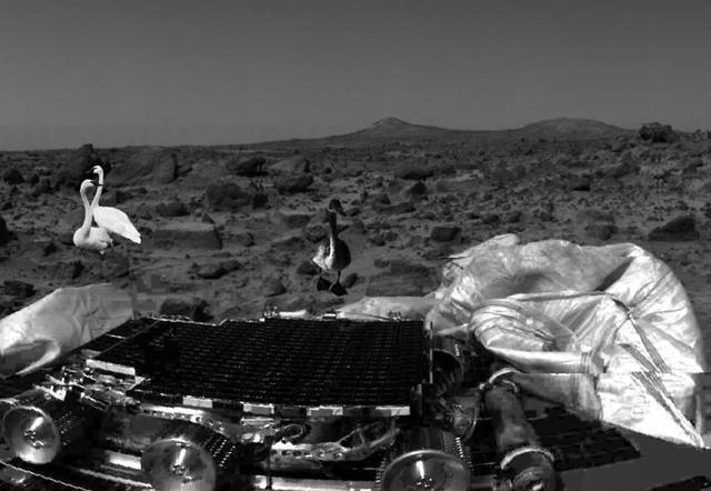 火星探测有新发现,“天鹅”出现在火星上,外星生命真的存在吗?
