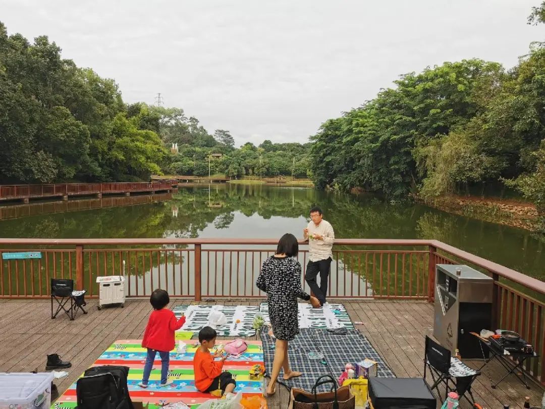 遵义|从平湖生态园到甘坑河碧道：徒步新线路