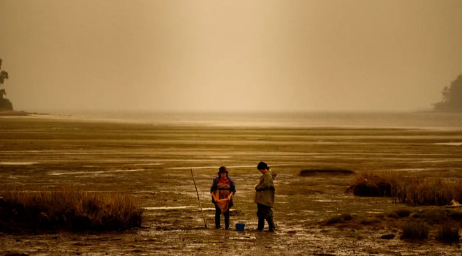 电影|意识流的恐怖片，谁不想看？