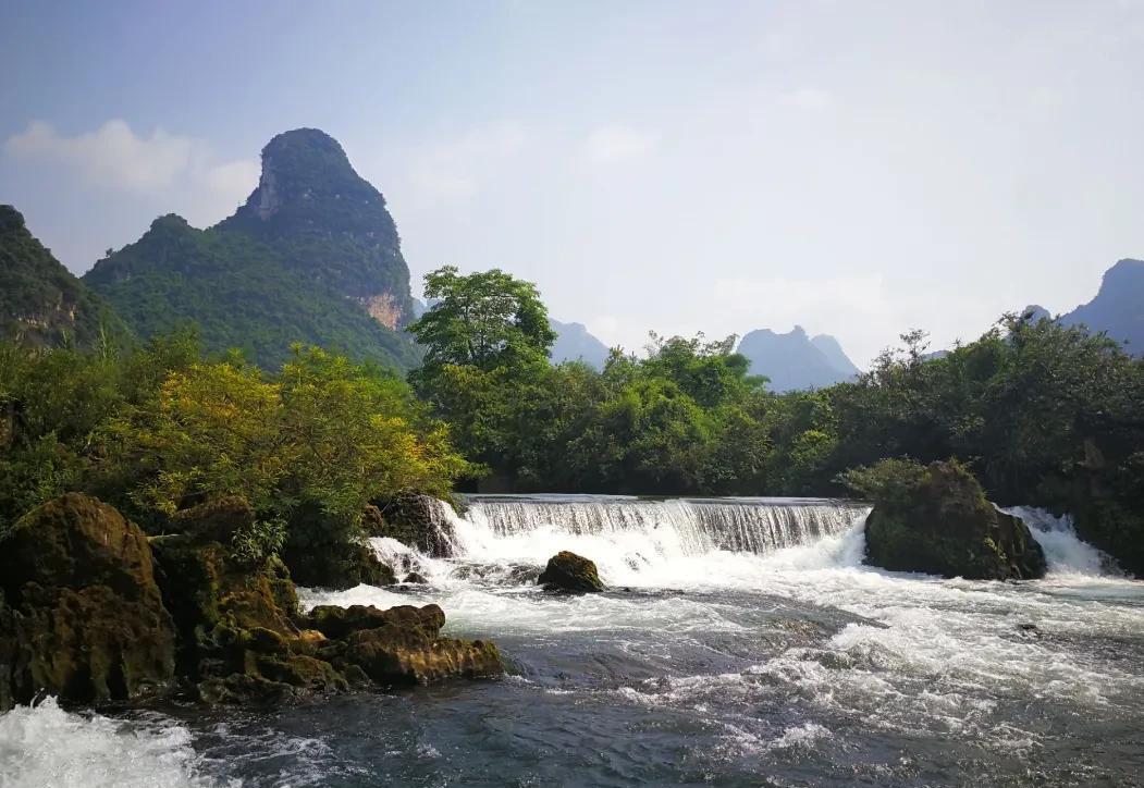 柿子|广西-崇左八景