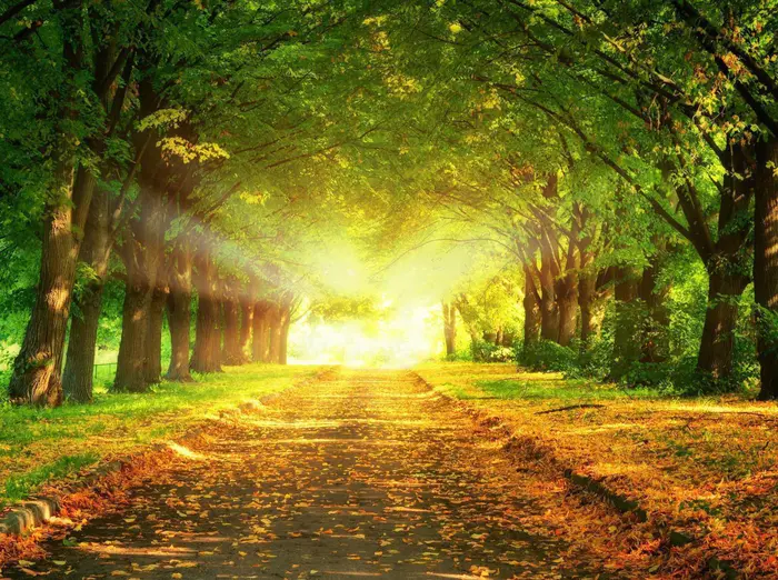 大门|【现代诗】在人海中垂钓红尘