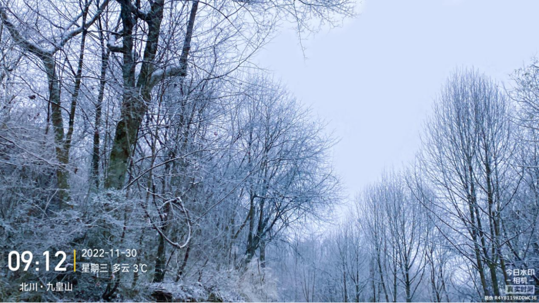 上海市|2022年冬天的第一场雪来啦,这个地方秒变仙境