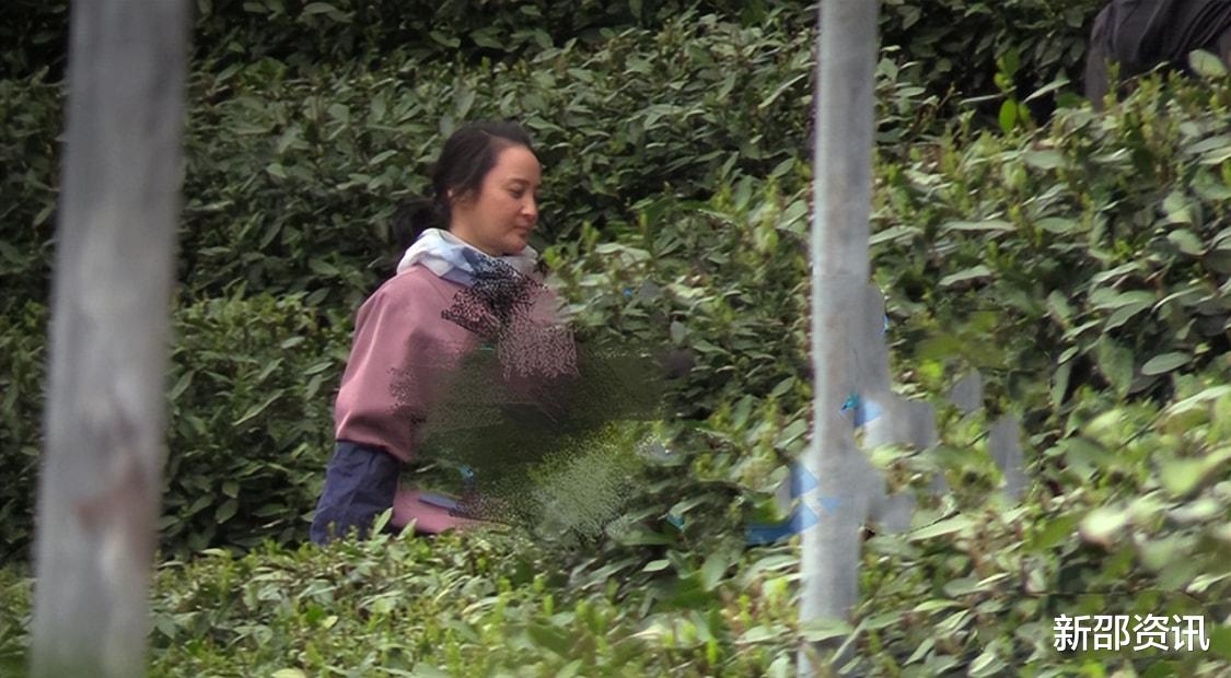 明星素颜|蒋勤勤一家三口看展被偶遇,素颜紧绷很自然,全程有摄影师跟着