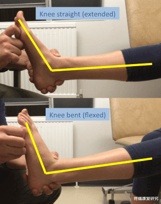 |小腿紧绷怎么办，七个动作充分拉伸腓肠肌