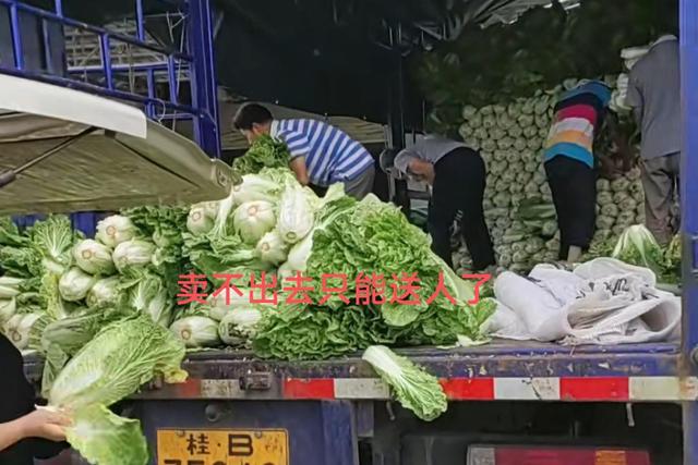 广西男子拉白菜下高速走绿通,收费员说他的白菜不是白菜不能免费