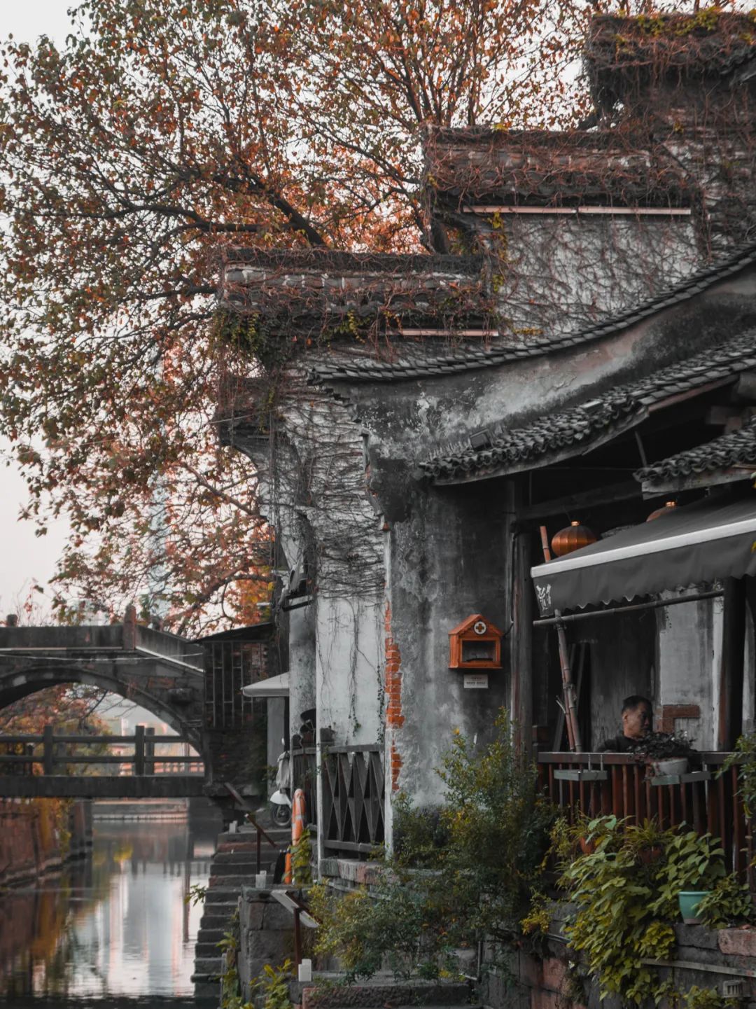 儋州|高铁仅需10min,红叶不输京都,秋冬美食滋补,美到王鹤棣也来打卡