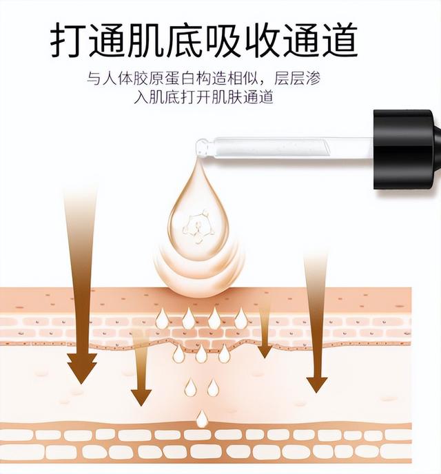 玻尿酸 经常使用精华液的女生，时间长了皮肤有哪些变化？告诉你区别在哪