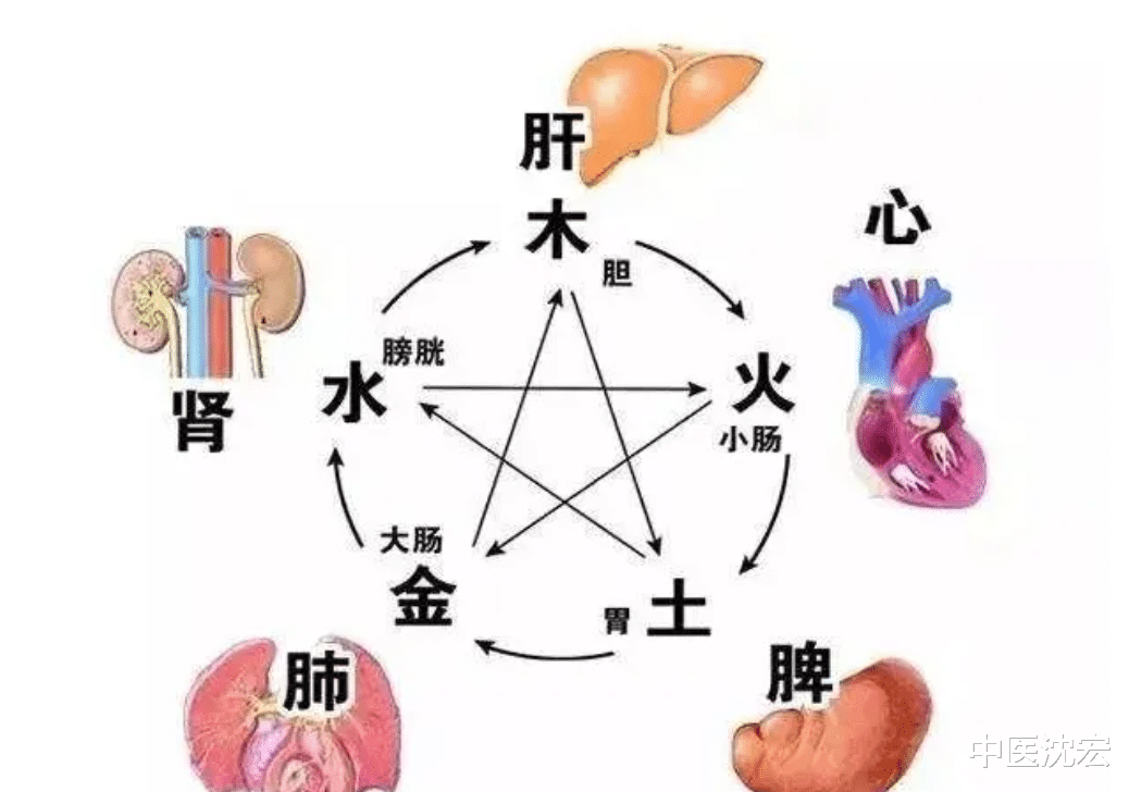 失眠|肾气虚尿频,肺气虚鼻炎,心气虚失眠,5个中成药,补足全身之气