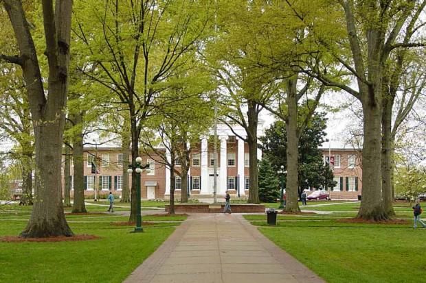 安徽|职业本科和普通本科有何区别，哪种更适合选择，哪些职业大学好