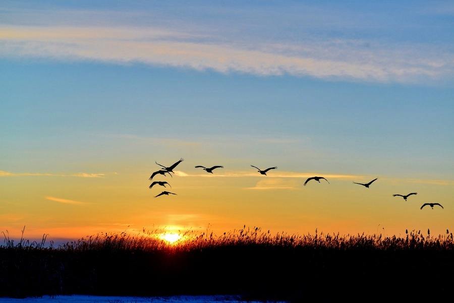 离岛|秋日的黄昏