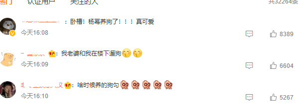 杨幂|杨幂再次现身张大大家，穿高奢侈帮忙遛狗，两人友谊惹人羡慕