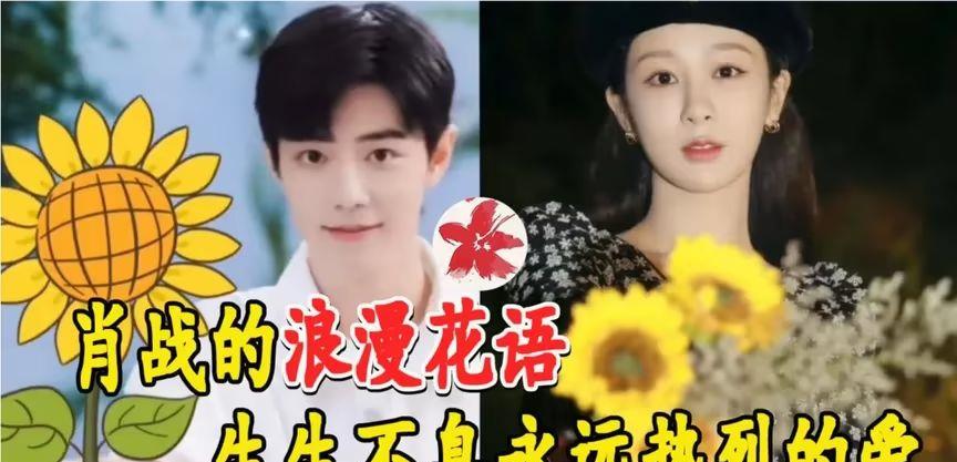 杨紫|肖战借木槿花对杨紫宣示主权?看到花语后我有磕到了,生生不息