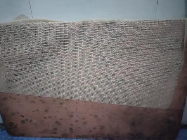 居家防霉建议:扔掉家里这4样东西,并非败家,而是为了健康