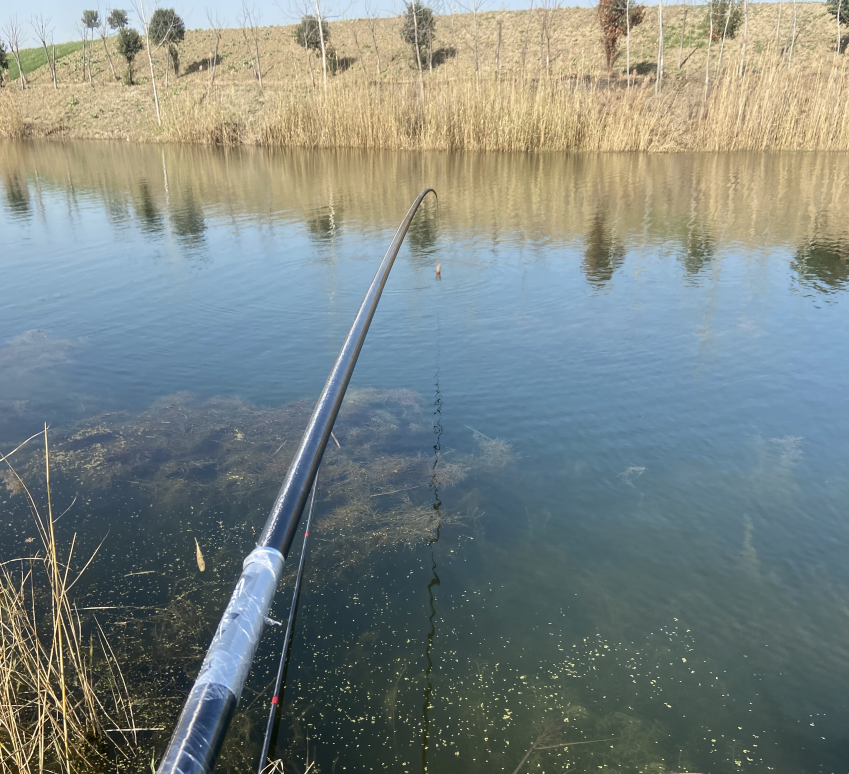 |小综合钓什么鱼?钓什么鱼手感最佳?