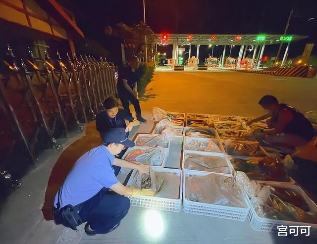 价值220万!四川17人捕捉收购50吨癞蛤蟆被抓!专家:每只100