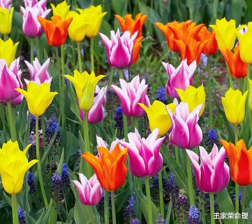 |2022年十二星座全面运程解读 2022.8