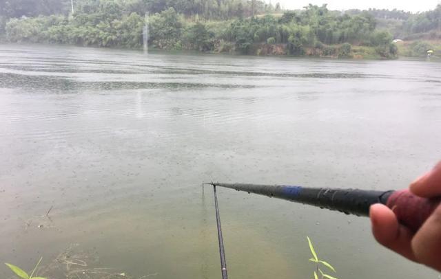 长沙|高目和低目之争:钓大鱼究竟怎么调漂?野钓这种方法最简单