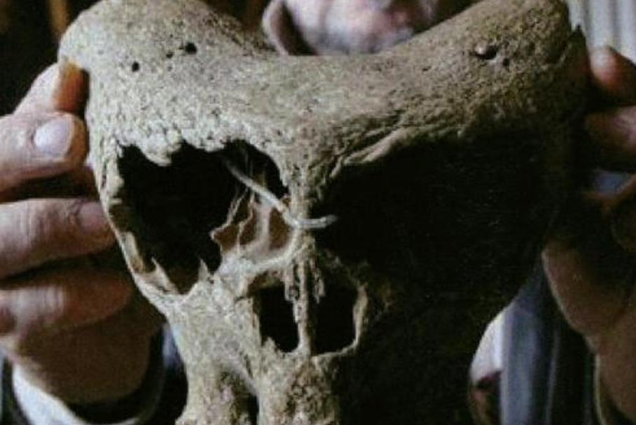 6500万年前被抛到月球的遗骸,是登陆还是研究,人类都蒙了