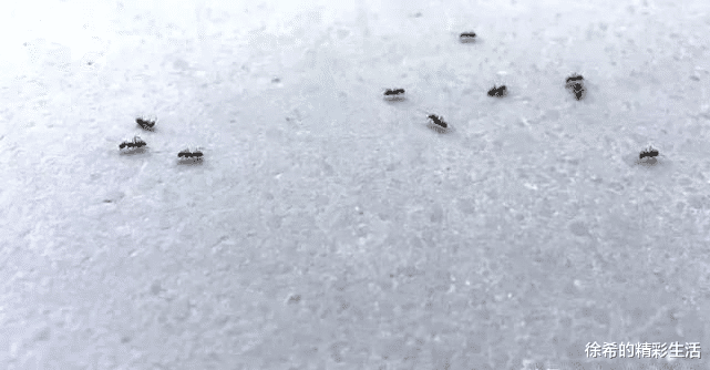 大地恩情|港乐的填词水平如何？由《大地恩情》可见一斑