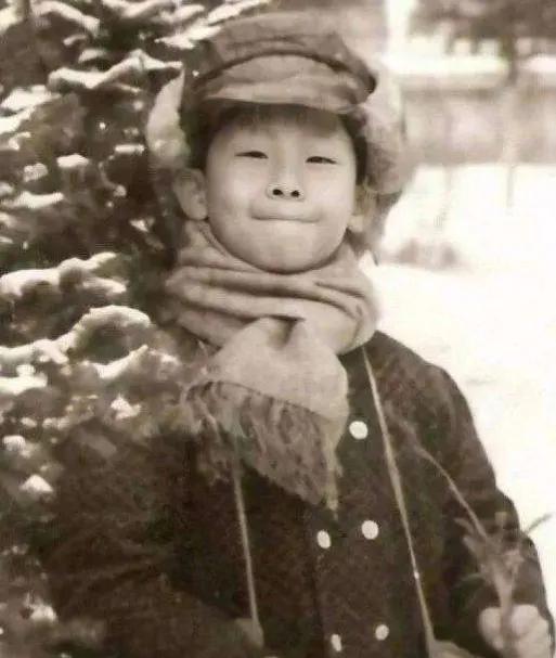 张译|张译：娶二婚主持人丁克至今，和妻子托起植物人前女友最后的时光