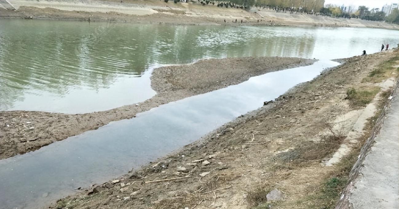 |退水时不好钓鱼?这些实用建议你肯定用得上