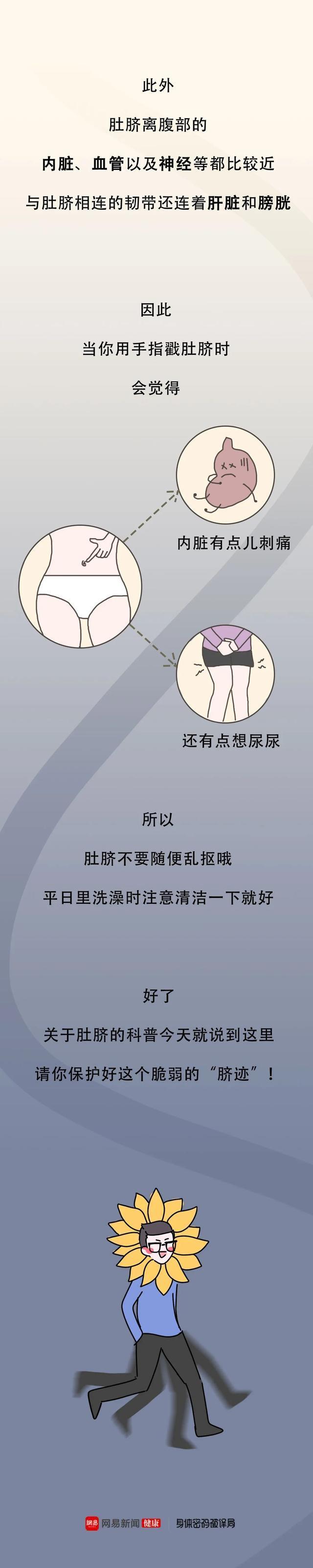 |“肚脐眼”后面,究竟连着什么部位?一组漫画揭秘,颠覆认知