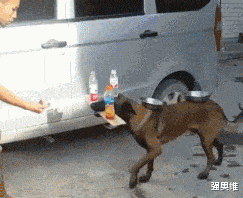 姐姐 “姐姐你就别装了，镜片上的反光早就被大家看光了。”