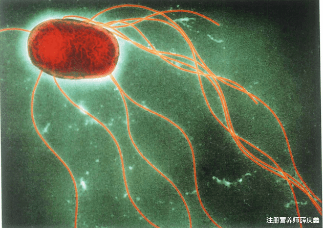 高血压|女子吃生腌进医院，自制生腌需警惕！轻则“窜稀”，重则“中毒”