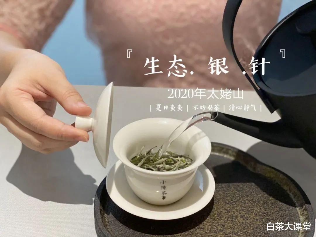 |白毫银针泡出来又苦又涩，是哪方面问题？老茶客详解背后真相