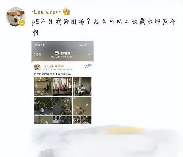 张子枫|张子枫又翻车了?硬凹文艺,原来是盗图!工作室道歉,网友不买账