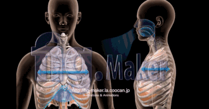 生图|瘦到肋骨抬手就起飞却被网暴上热搜！？这次女团天花板真·生图大翻车...